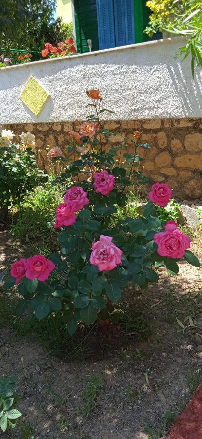 Lemon Garden Apartment Vasilikos  Exterior photo